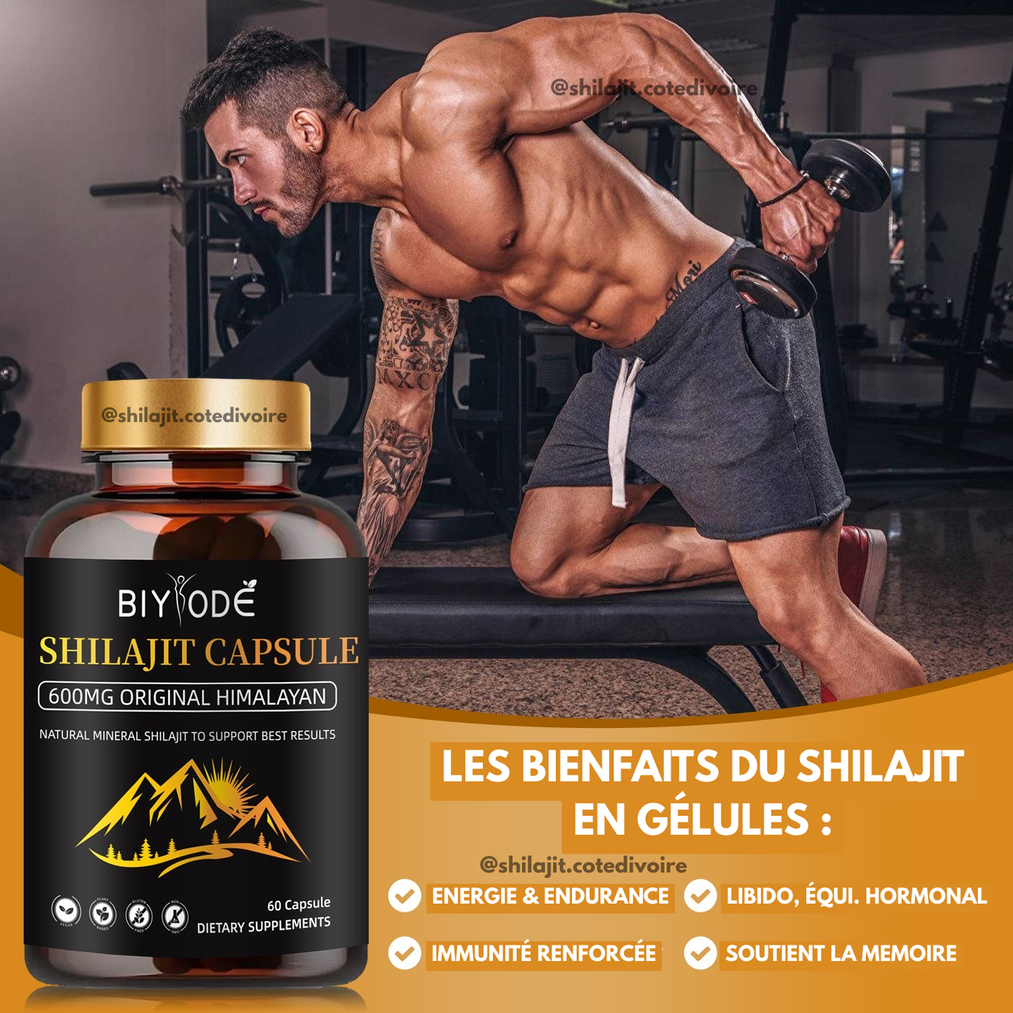 Shilajit Himalaya en Gélules – 600mg | Pureté et Vitalité Naturelle