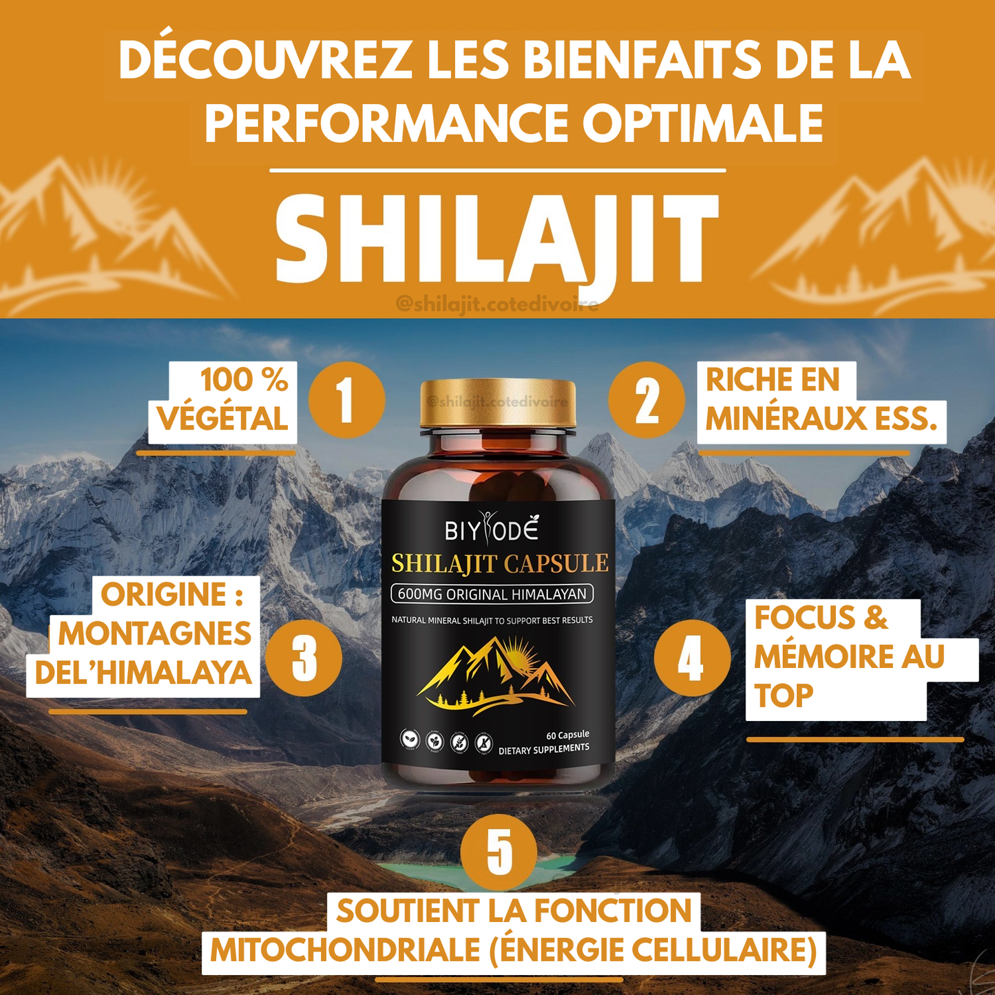 Shilajit Himalaya en Gélules – 600mg | Pureté et Vitalité Naturelle