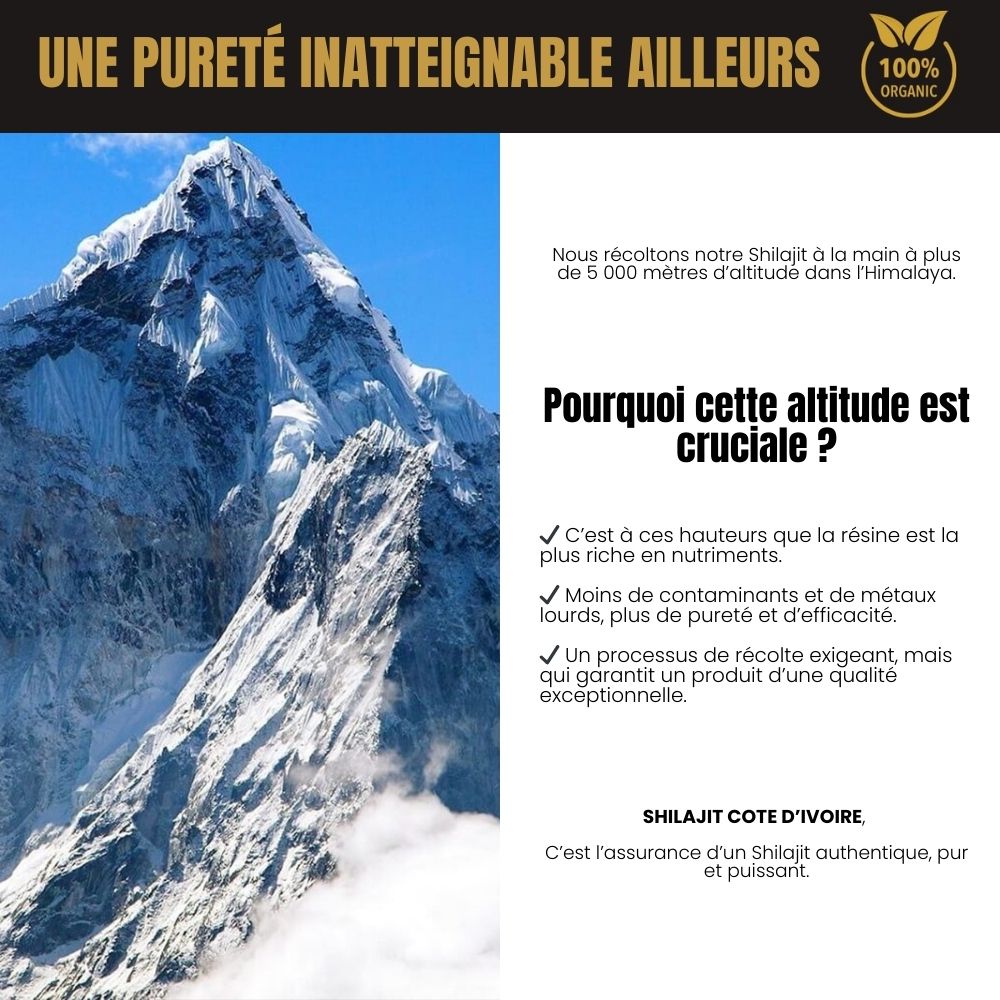 Montagne de l’Himalaya à plus de 5 000m d’altitude – zone de récolte du Shilajit pur, garantissant qualité, pureté et richesse en nutriments.