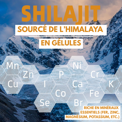 Shilajit Himalaya en Gélules – 600mg | Pureté et Vitalité Naturelle