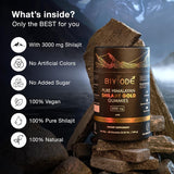 Shilajit en Gummies